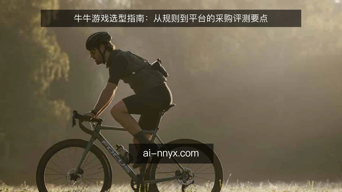 牛牛游戏选型指南：从规则到平台的采购评测要点